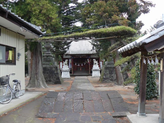 �ʑ����F�Η��_��