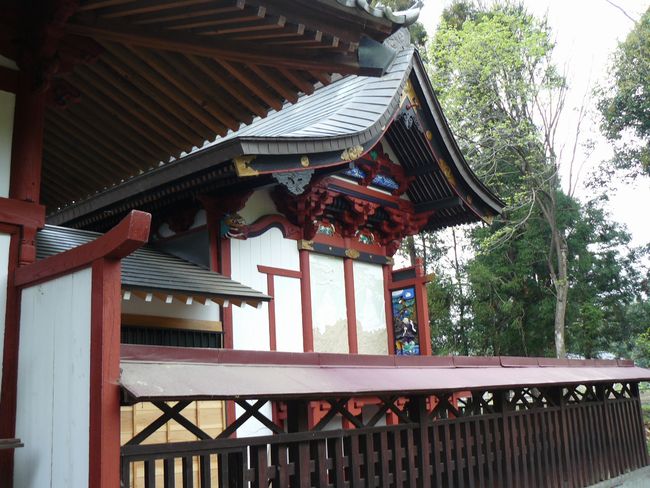 �ʑ����F�Η��_��