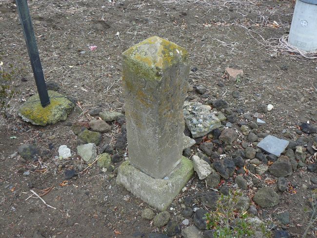 �ʑ����F�Η��_��