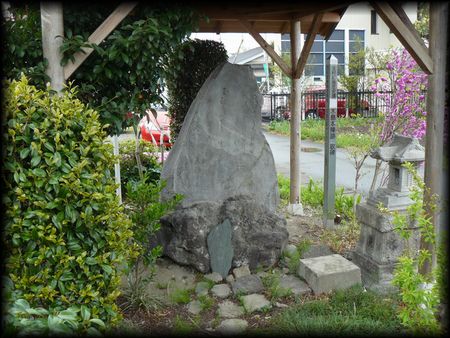 �ؓ��{�w�Չ̔�