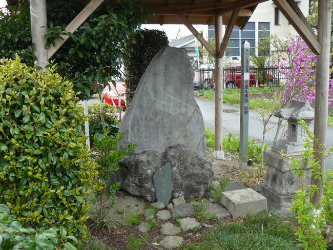 �ʑ����F�ؓ��{�w�Չ̔�