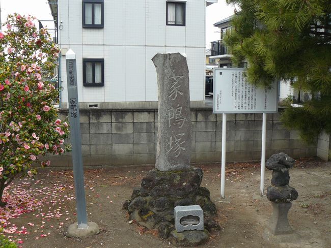 �ʑ����F�Ɗ���