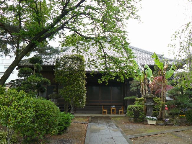 �ٗюs�F�哹��