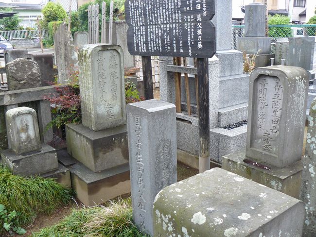 �ٗюs�F�哹��