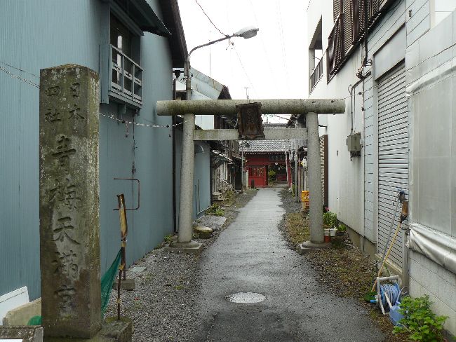 �ٗюs�F�~�V���{