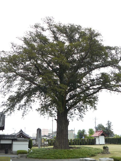 �W�y���F�_����