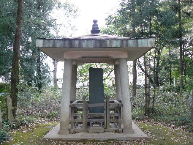 ���c���F����