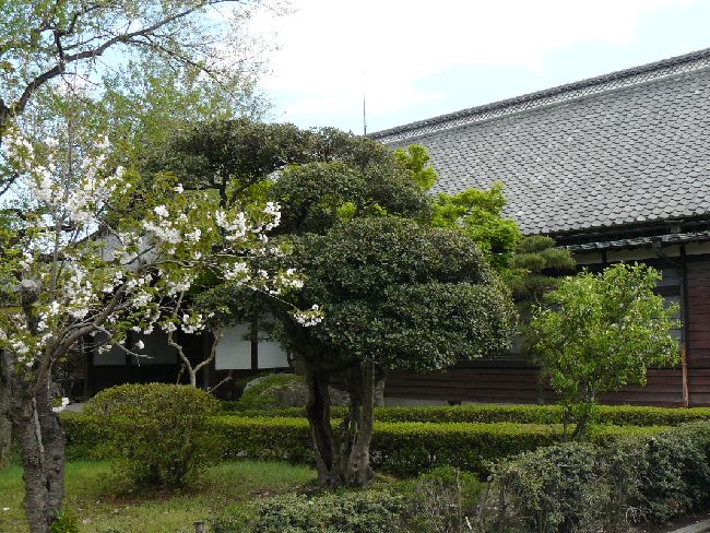 �x���s�F�����s�w��