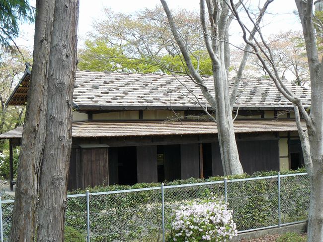 �x���s�F���Ζ؉ƏZ��