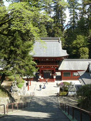 貫前神社の下り参道の石段の写真