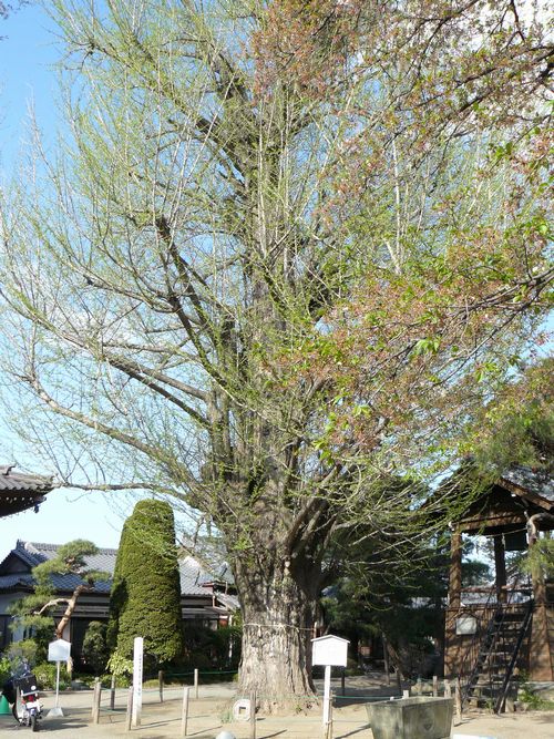 �x���s�F�������E��C�`���E