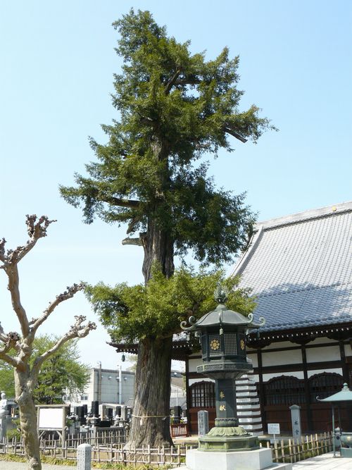 �g�䒬�F�m�Վ�