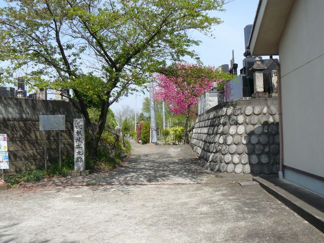 �g�䒬�F�������@