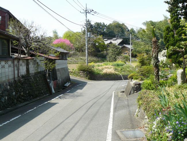 �g�䒬�F�������@